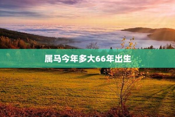 马年八字