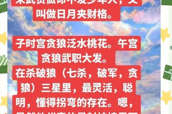 看紫薇斗数贪狼