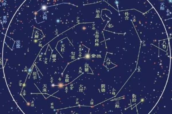 紫薇权贪狼在疾厄宫