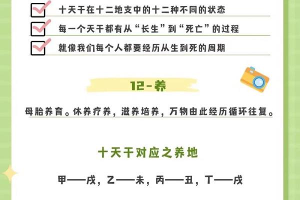 八字里养