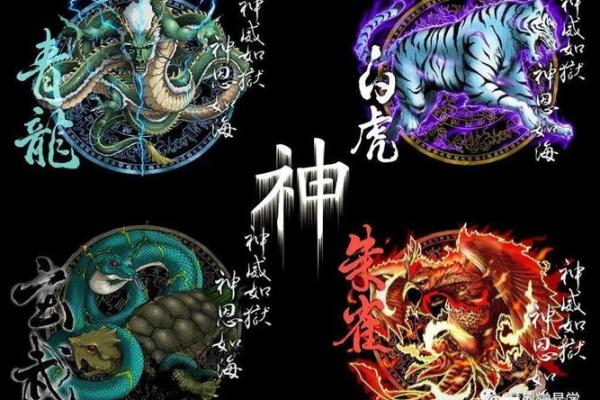 灵签青龙得位