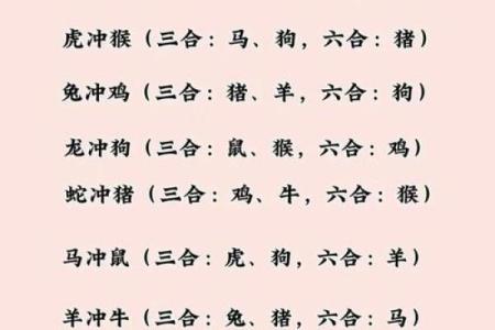 教你给属鸡酉时出生的男孩起名的实用技巧姓名