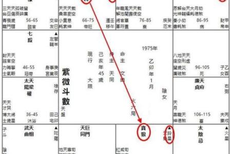 紫薇斗数看官位