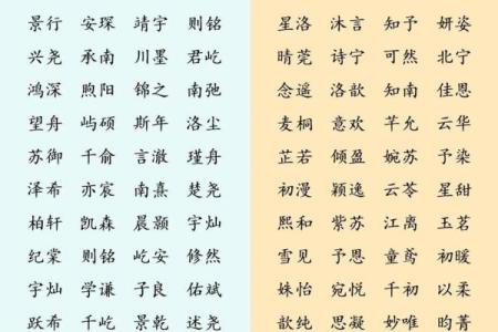 2019年4月26号丑时出生的男孩起名方法姓名