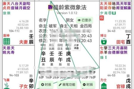 紫薇斗数怎么看流年