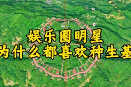种生基一般风水师收多少钱 种风水师收多少钱
