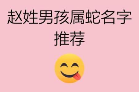 12月份出生的属蛇男孩起什么名字好姓名