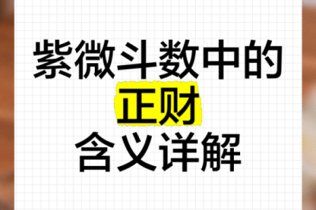 紫薇斗数正财星