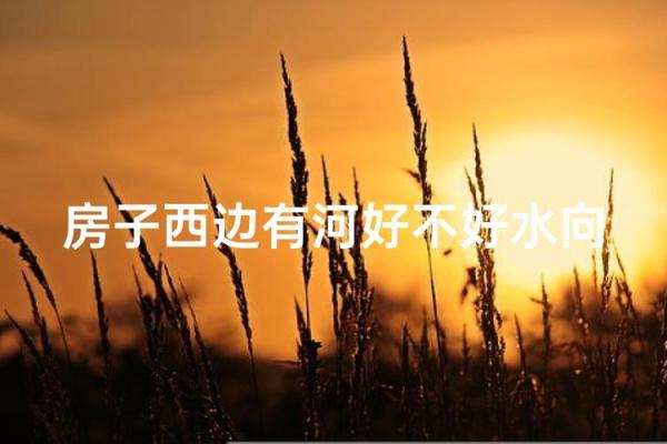 房子北边有条河风水好吗
