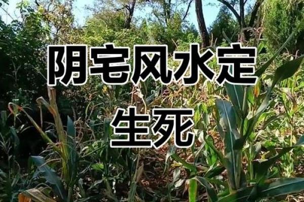 阴宅风水不好该怎么办