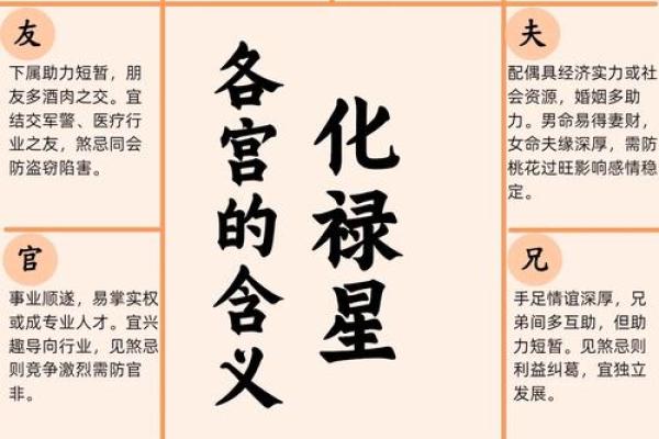 华盖星紫薇斗数