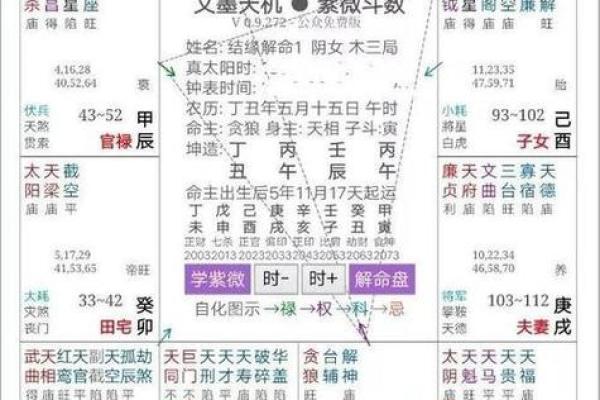 紫薇斗数排盘易安