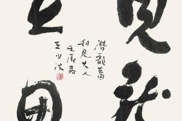算命中鹰扬卦什么意思