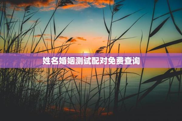 婚姻配对姓名查询表 婚姻配对姓名免费测试？