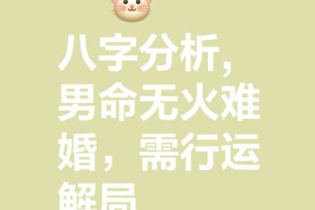 八字看妻财,妻财临朱雀