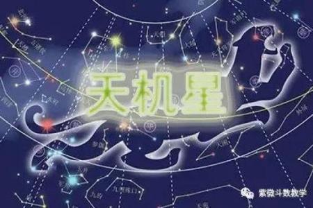 军师府紫薇斗数高级