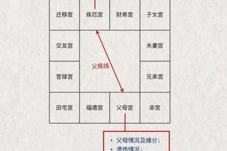 紫薇斗数紫府