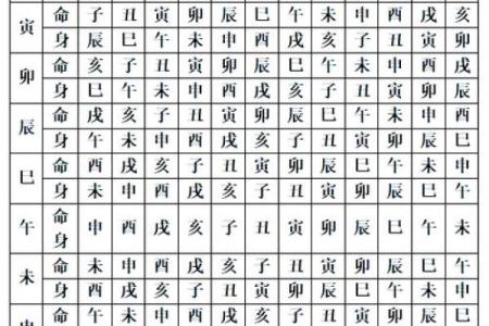 紫薇斗数子午宫