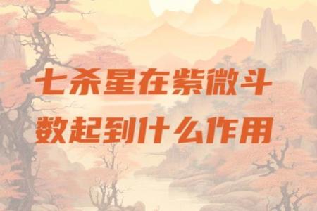 紫微斗数之财帛宫与诸星，七杀星在财帛宫是什么意思？