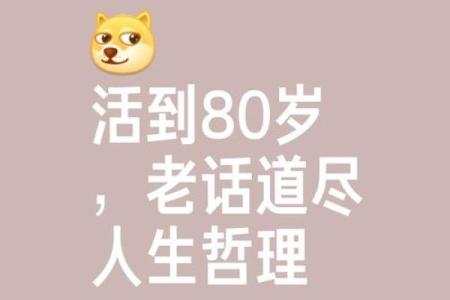 不老的八字