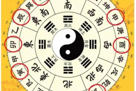 乾坤算命详解大全下载