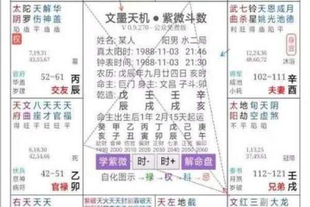 紫薇斗数婚姻墓