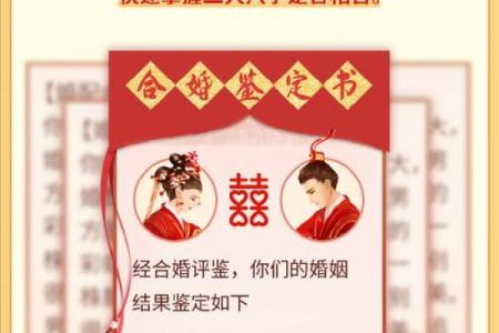 婚姻树财富船测试免费 易奇八字婚姻树财富船