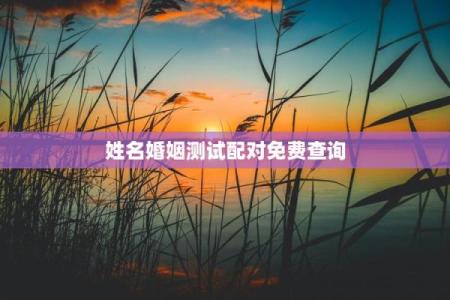 婚姻配对姓名查询表 婚姻配对姓名免费测试？
