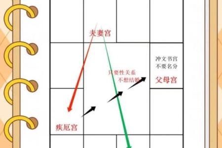 紫微斗数案例13姻缘：夫妻宫无主星，桃花太旺伤婚姻的命盘