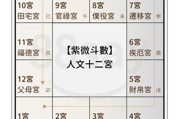 紫薇斗数空劫星
