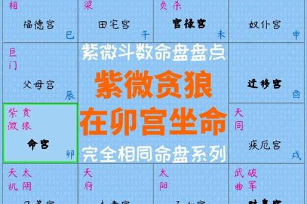 唐艺尹老师谈紫微斗数中的酒色财气命