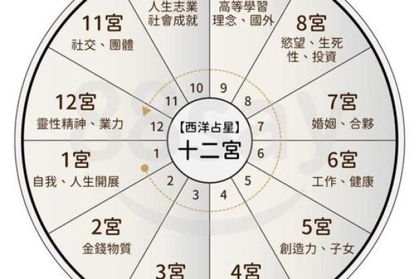 周易八字入门知识大全 周易八字选车牌号码