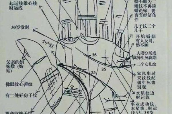 指纹算命,十个斗手指纹算命图解