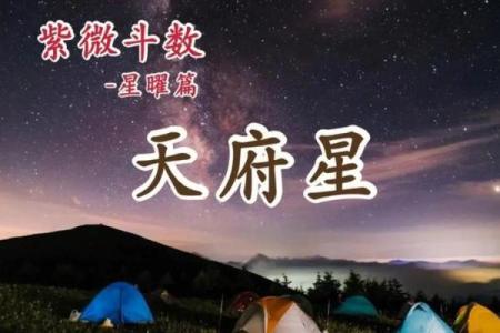 紫薇斗数科星