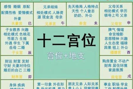 紫微斗数离婚案例，紫薇看离婚原理