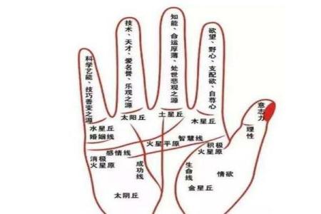 手相指纹算命图解