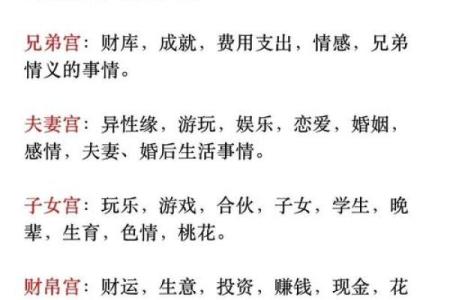 紫薇斗数夫妻宫乙未什么意思