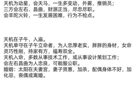 紫薇斗数解释