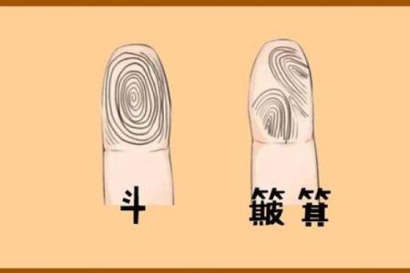 指纹算命,十个斗手指纹算命图解