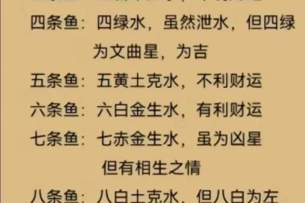 办公室养鱼风水也有讲究 不注意的话就犯了大忌