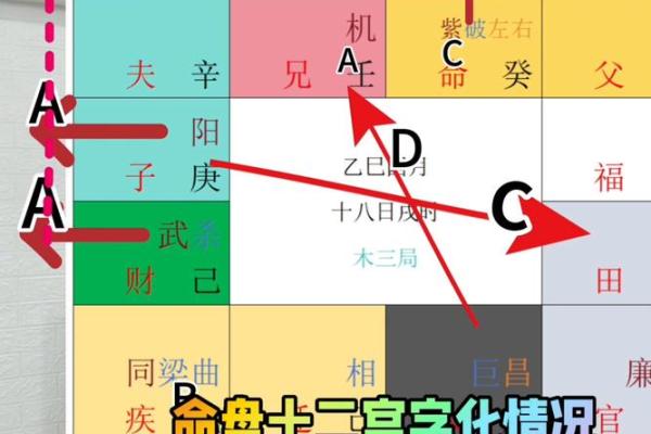 紫薇斗数怎么手动排盘