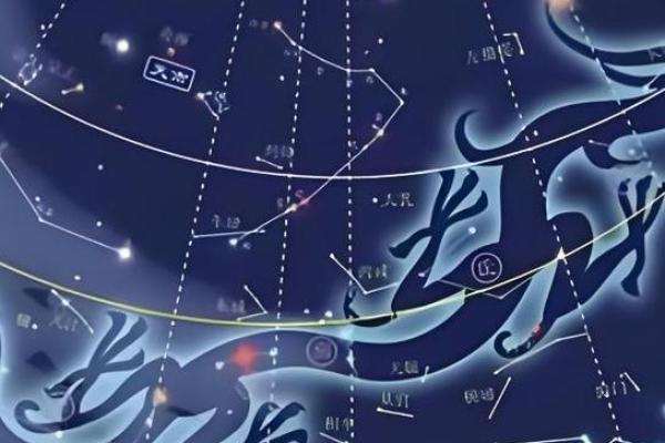 紫薇斗数星盘图片