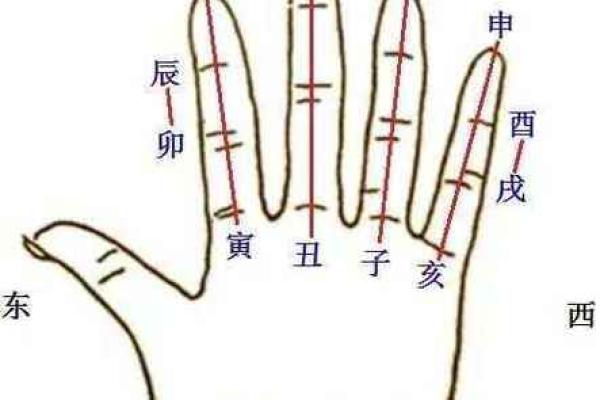 八字炒股