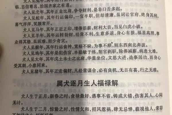 怎样给属狗戍时出生的男孩起名，宜用什么字姓名