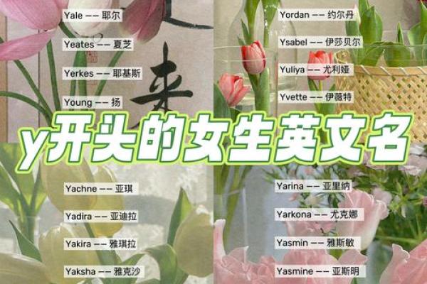 免费测试你的英文名