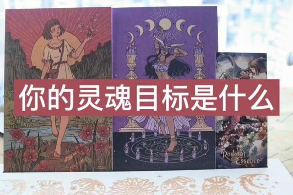 塔罗测试：你容易因为什么被抹黑？