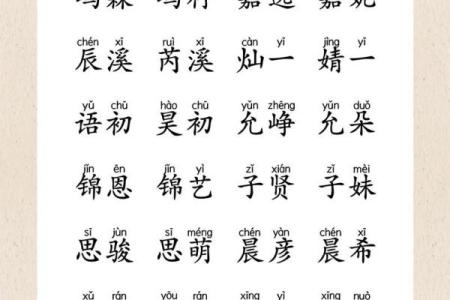 2019年4月27号丑时出生的男孩起名方法姓名