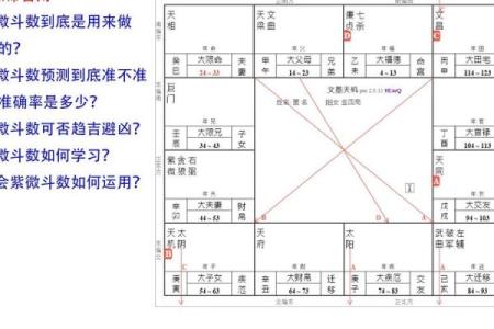 南京紫薇斗数