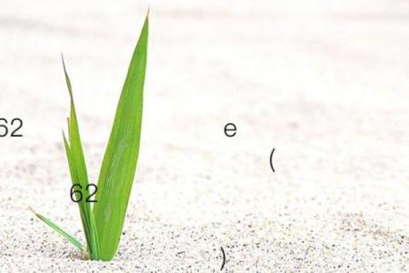 月老灵签53签解签姻缘
