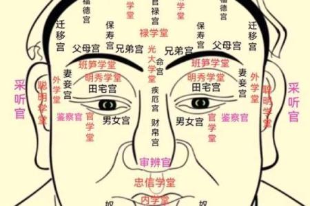 紫微斗数诸星落诸宫之：天机星财帛宫详解